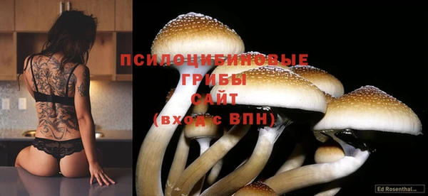 mdpv Баксан