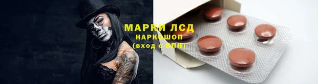 прущие крисы Балахна