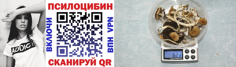 Галлюциногенные грибы GOLDEN TEACHER  Бузулук 